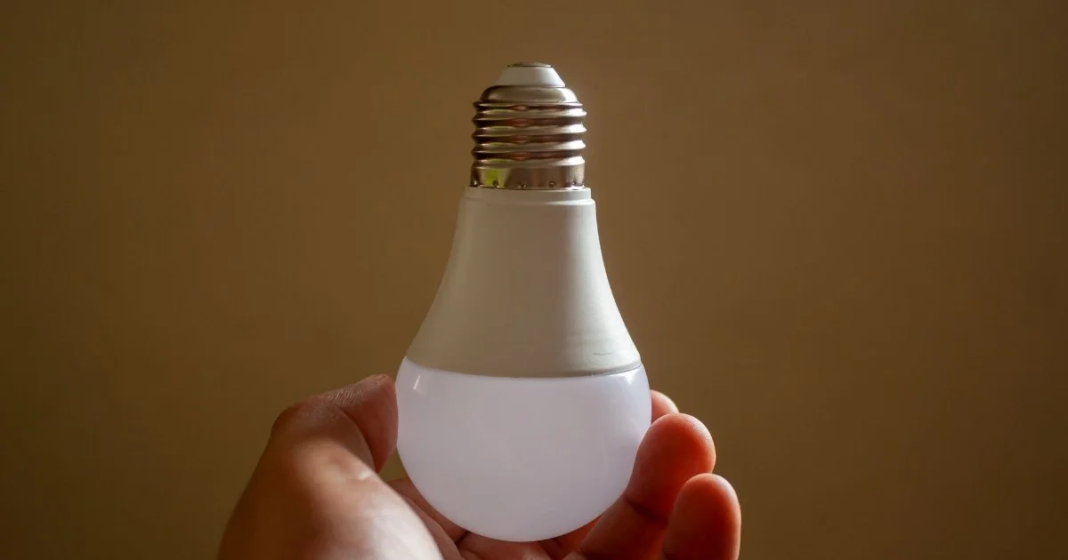 手に持ったLED電球